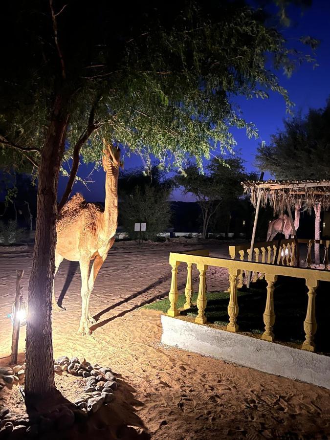 Golden Palm Oasis Hotell Fulayj al Masha'ikh Eksteriør bilde