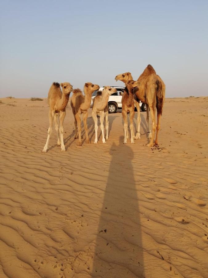 Golden Palm Oasis Hotell Fulayj al Masha'ikh Eksteriør bilde