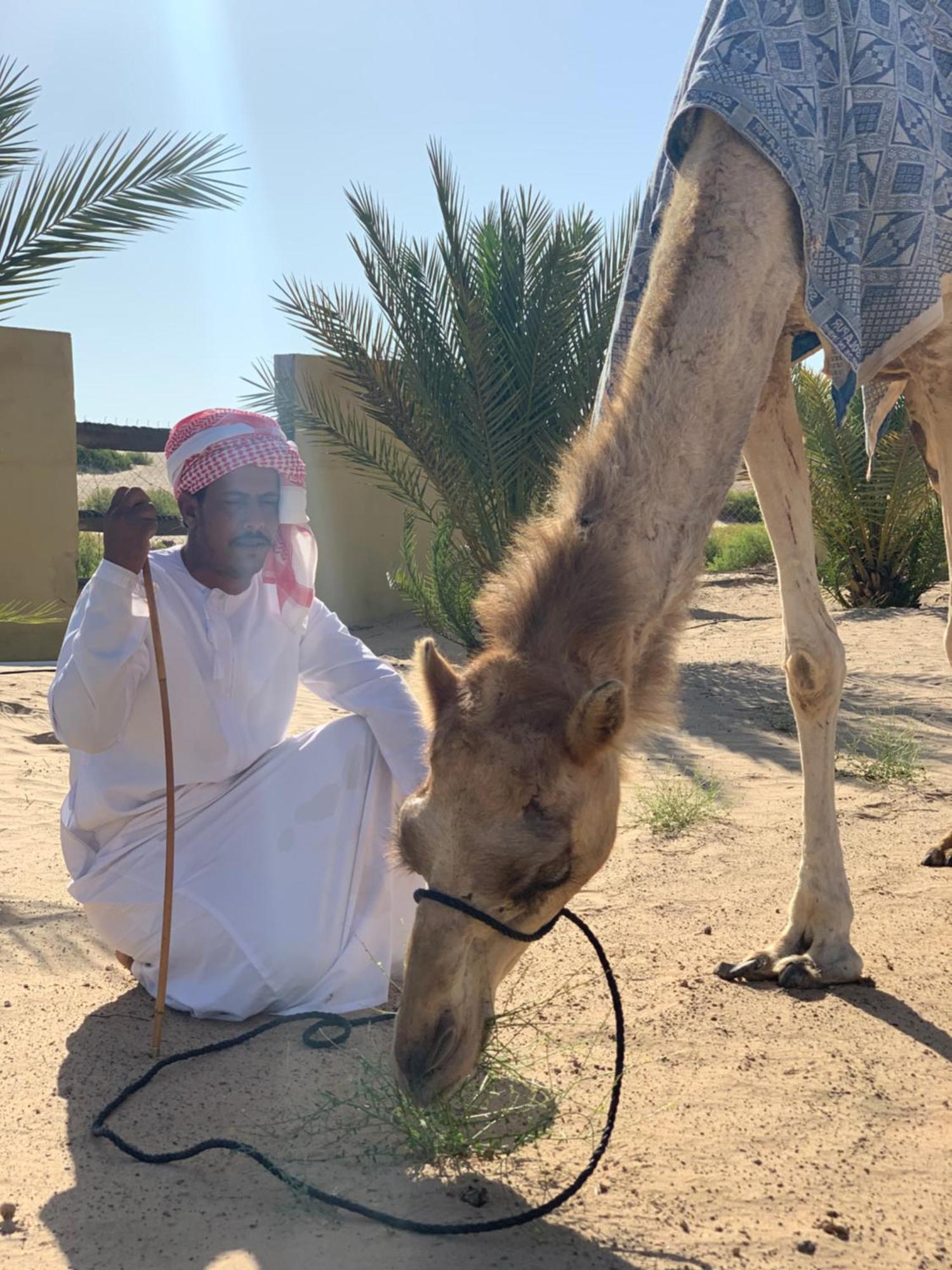 Golden Palm Oasis Hotell Fulayj al Masha'ikh Eksteriør bilde
